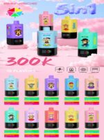 Bang DE 300K