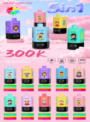 Bang DE 300K