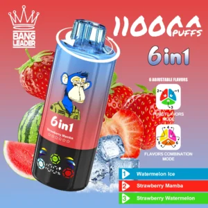 Bang Leader 110K - Watermelon Ice + Strawberry Mamba + Strawberry Watermelon