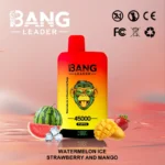 Bang Leader 45K - Watermelon Ice & Strawberry and Mango