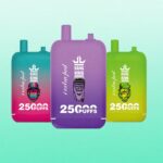Bang King 25000