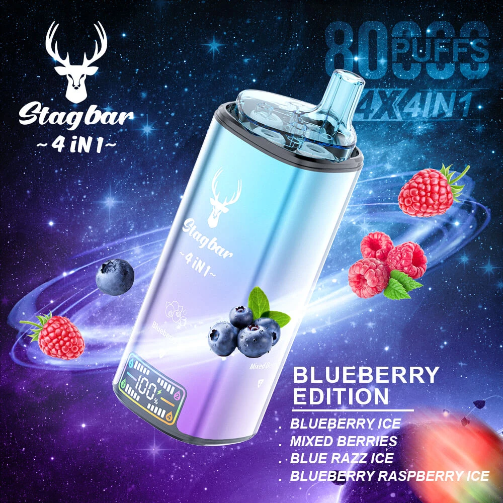 Stagbar 4 in 1 80K - Blueberry Edition
